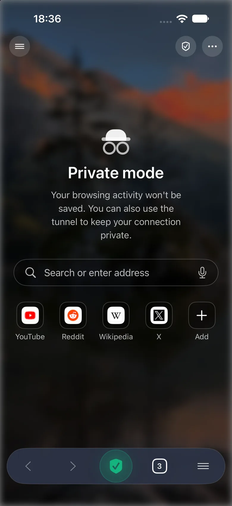 Private mode page noting that browsing activity won't be saved, with the tunnel shield active in the toolbar